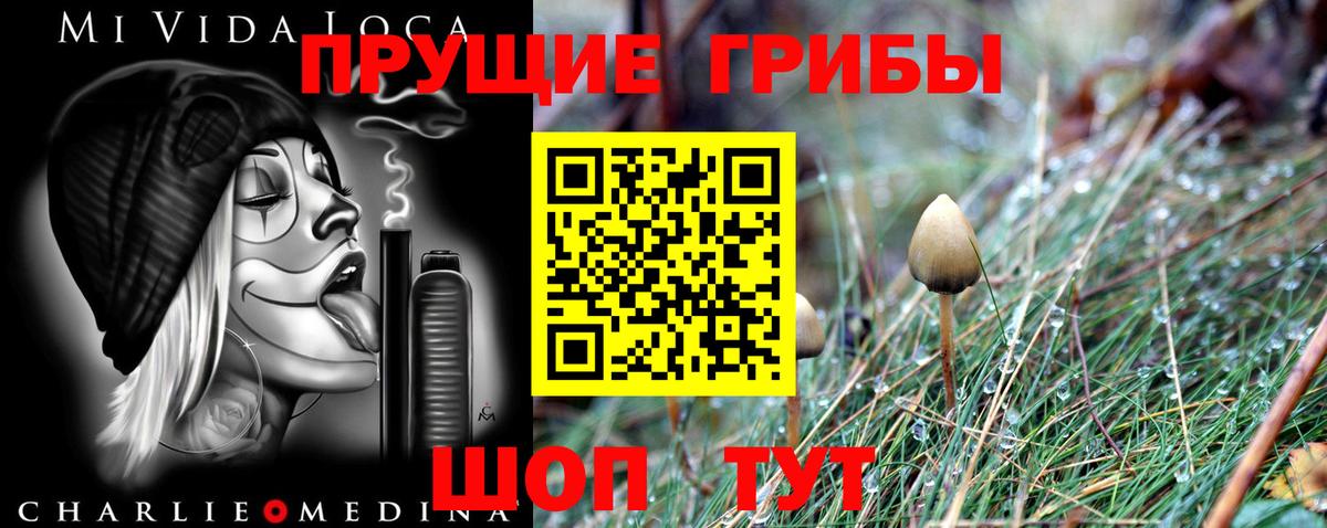 Псилоцибиновые грибы Psilocybine cubensis Новочебоксарск